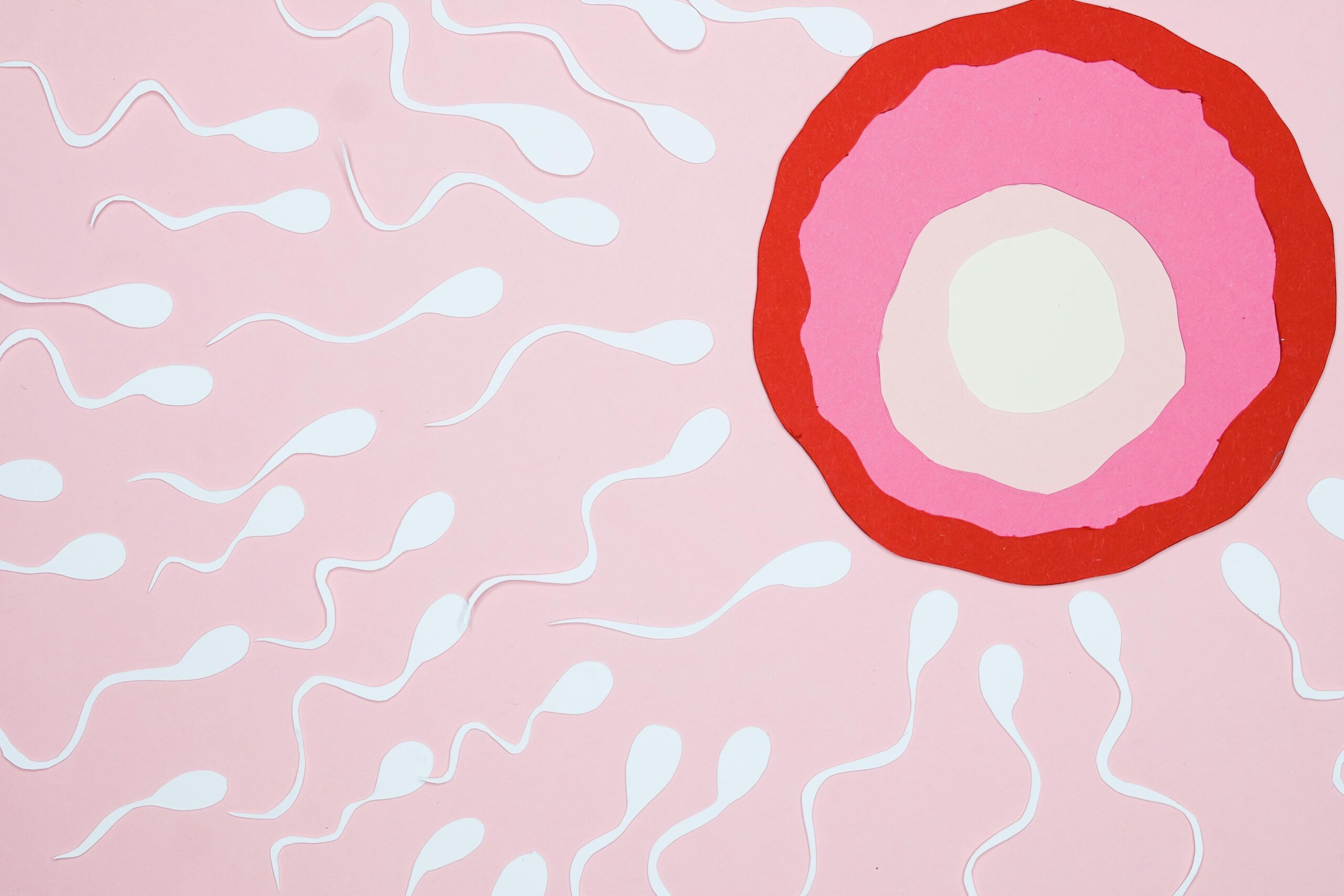 Creative illustration showing sperm moving towards an egg, symbolizing fertilization.